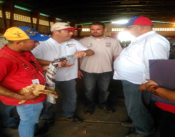 Entrega de Tractores